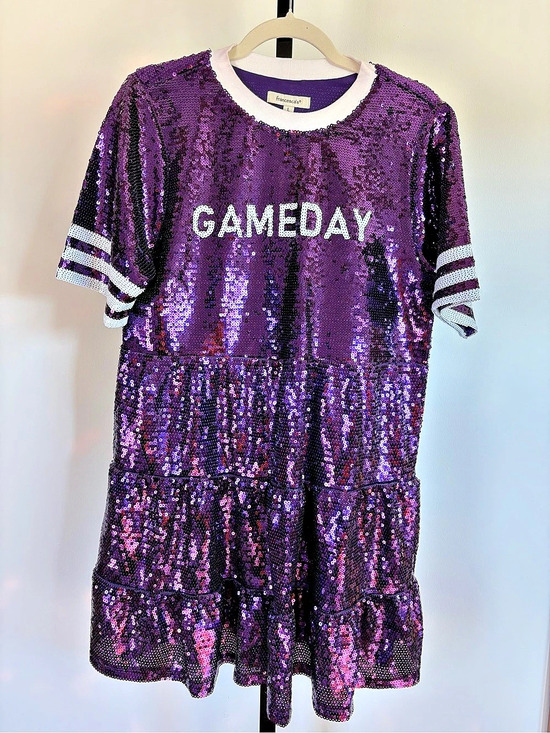 Francesca's Collections Dresses & Skirts - Francesca's Game Day Sequin Mini Dress | Large